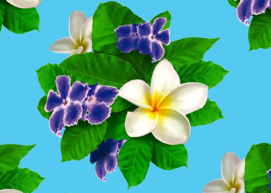 Flor de coco Flor de coco