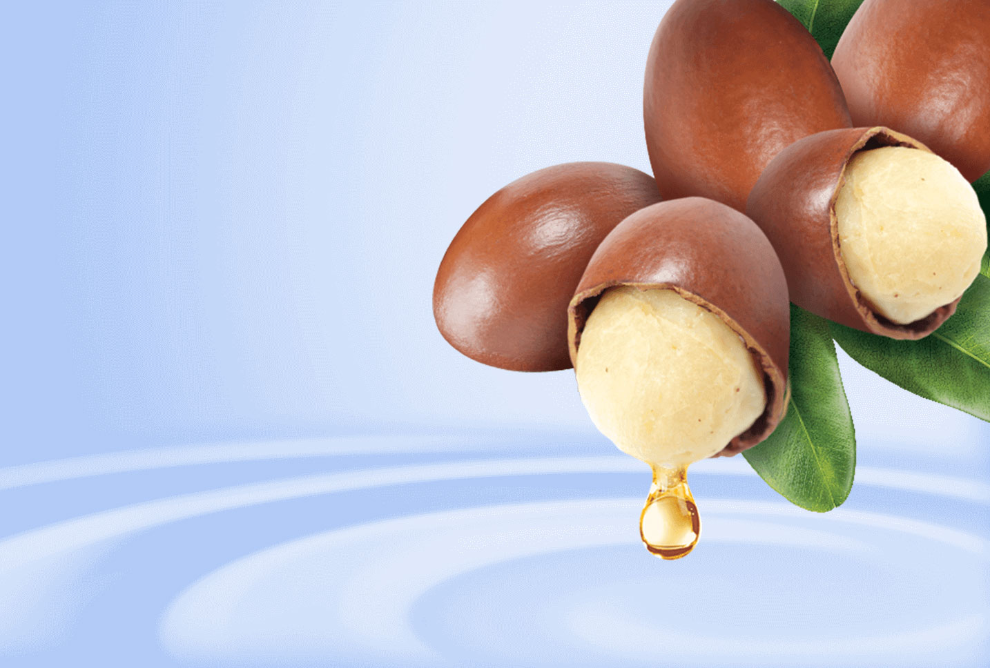 cacaokarite cacaokarite