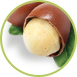 cacaokarite cacaokarite