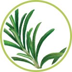 Romero, ingrediente natural